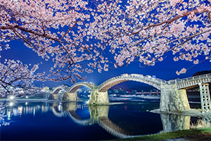 岩国の錦帯橋で夜桜撮ってきたよ！