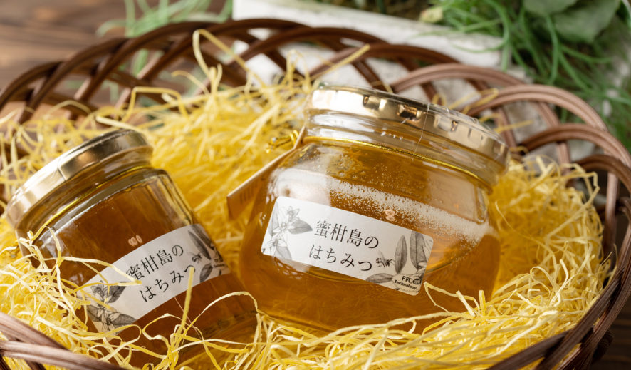 山口市「ときつ養蜂園」さんで本物のハチミツ撮影。